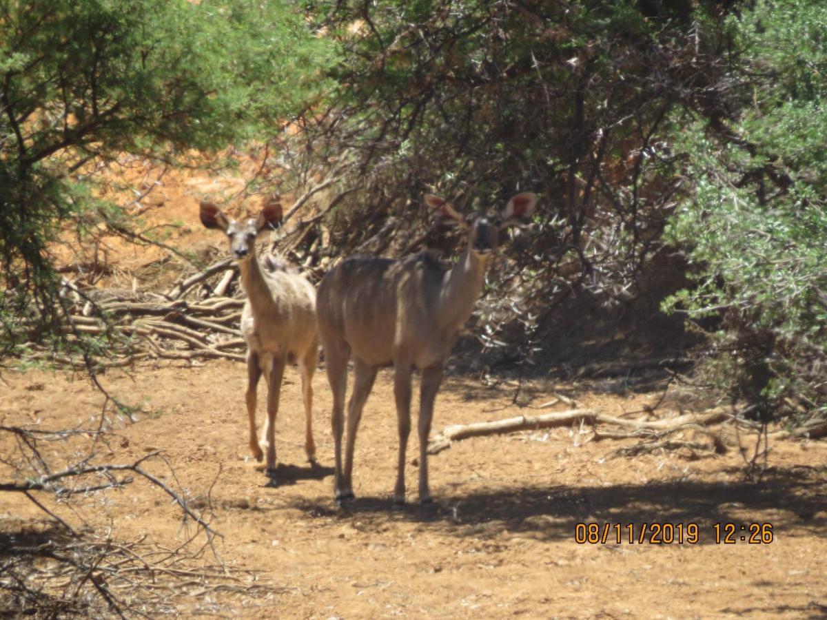 Linduli Farmstay Cradock Dış mekan fotoğraf